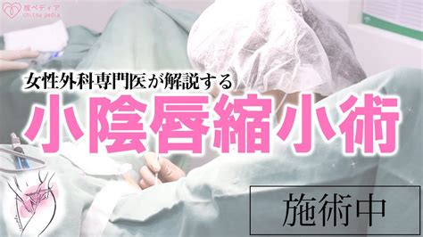 クリトリス包茎 ： 婦人科・女性器：美容外科 高須クリニック